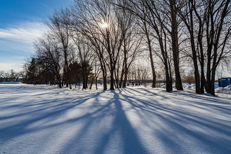 Skating Oval Shadows by Stino Scaletta